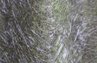 Eden Vale fibreglass roof work