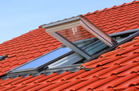 Eden Vale roof window